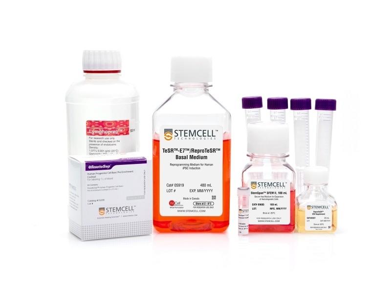 特価商品  CD34+ Progenitor Reprogramming Kit | 製品情報 | ベリタス ビカクシダ